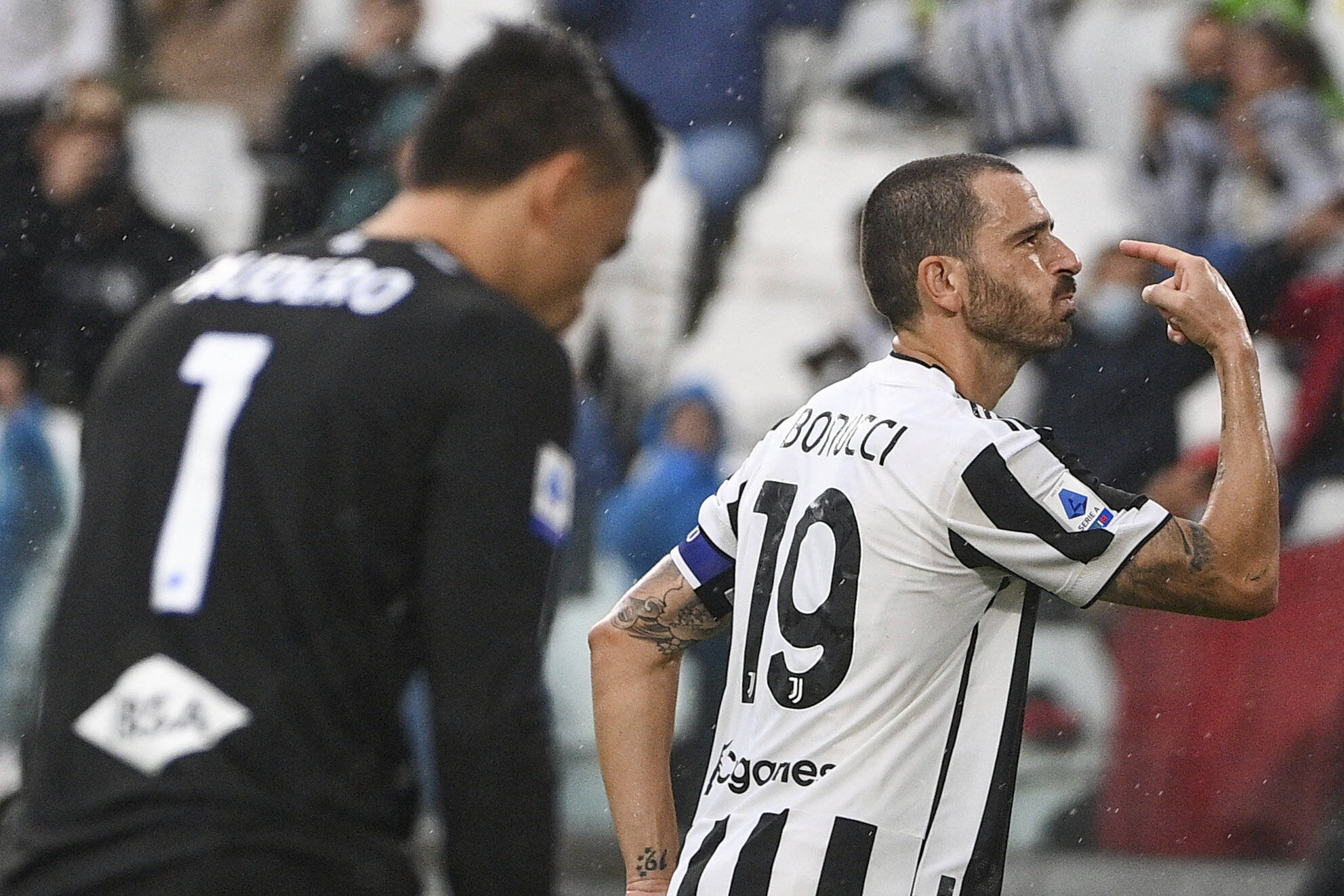 柏杨需要在 柏杨需要在